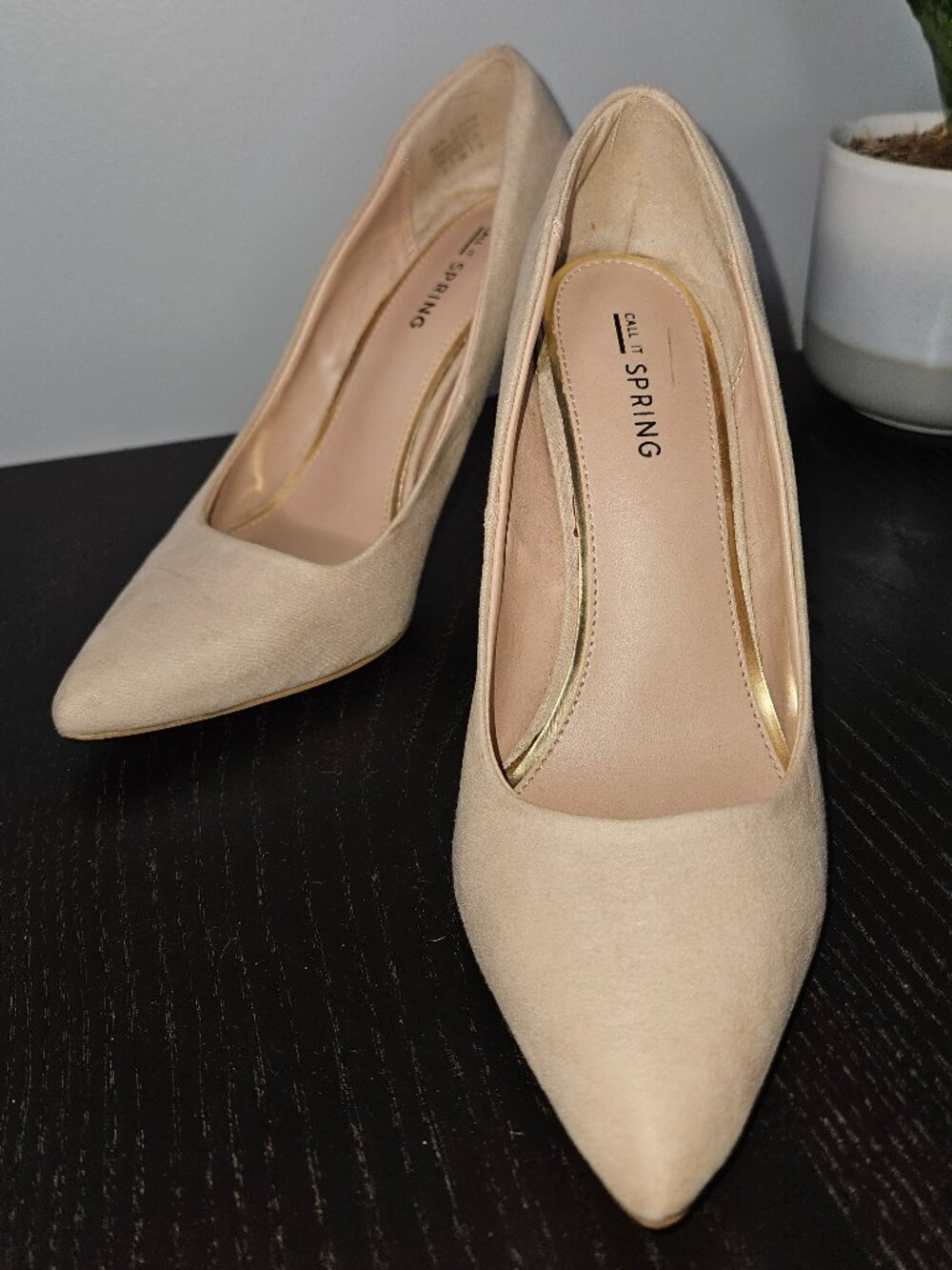 Beige Suede Pointed-Toe Stiletto Pumps | Classic Nude Heels